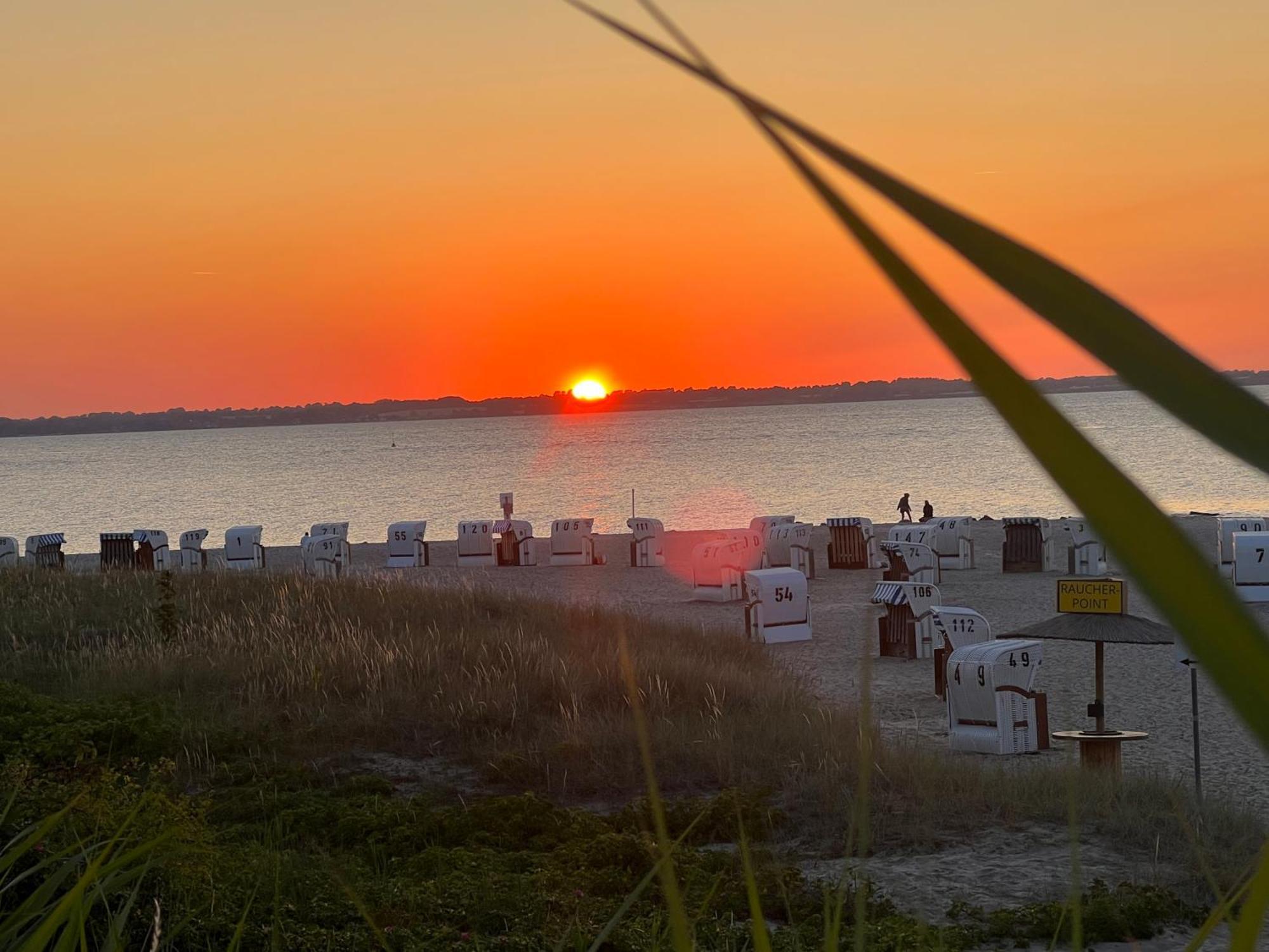 Neue Ferienwohnung An Der Ostsee,Terrasse,Sauna Surendorf Eksteriør bilde